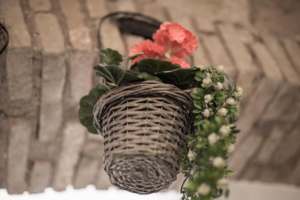 Shabby Apartment @Trastevere Rome Bagian luar foto
